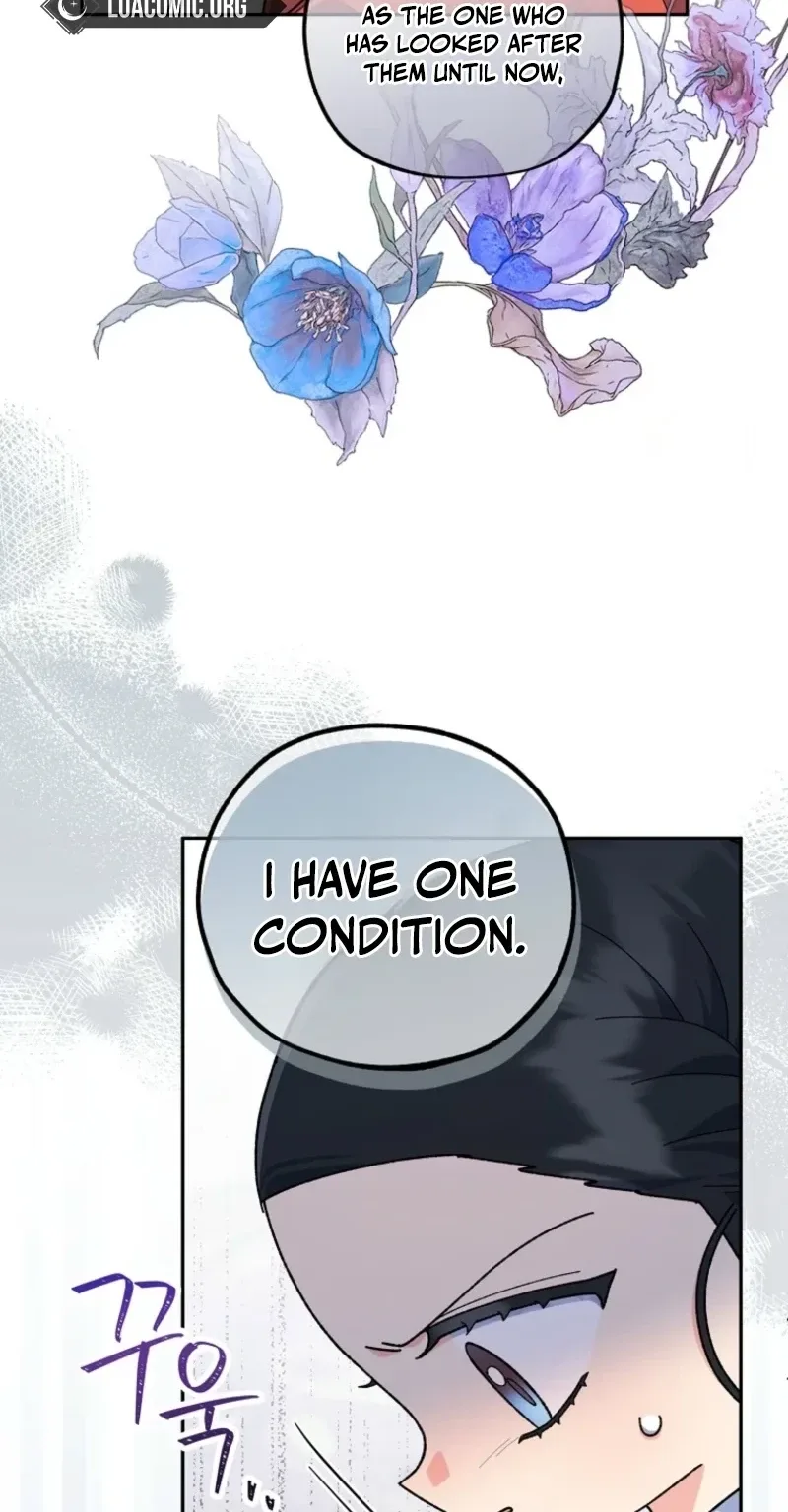 Shadow Moon Chapter 33 page 5