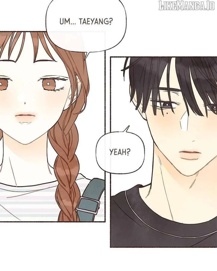 Emotional Transference Chapter 42 page 63