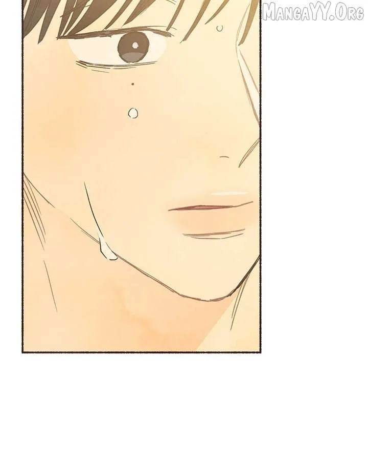 Emotional Transference Chapter 49 page 73
