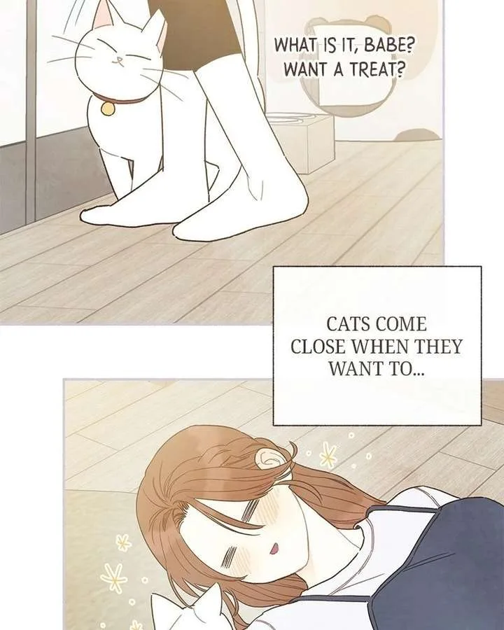 Emotional Transference Chapter 55 page 7