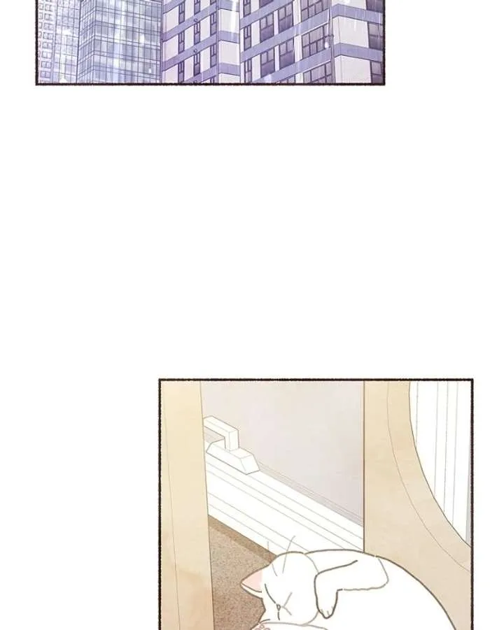 Emotional Transference Chapter 60 page 13