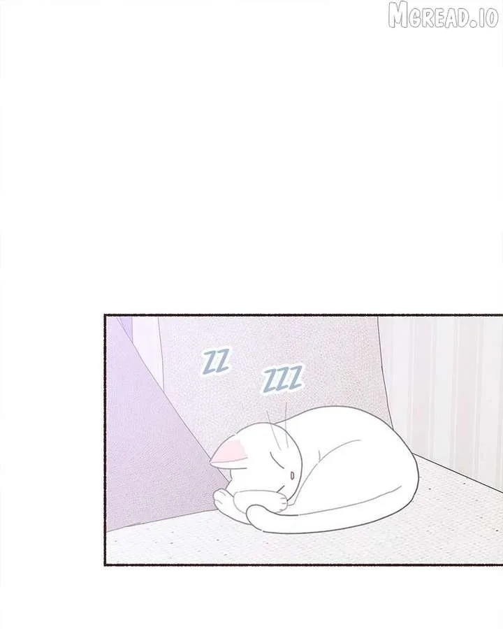 Emotional Transference Chapter 69 page 1