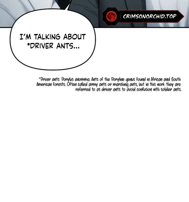 Empire of the Ants Chapter 12 page 104