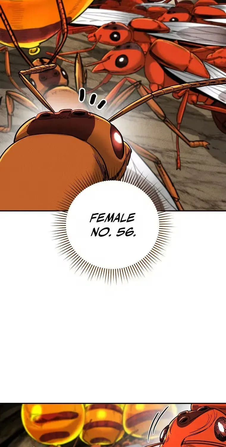 Empire of the Ants Chapter 35 page 45