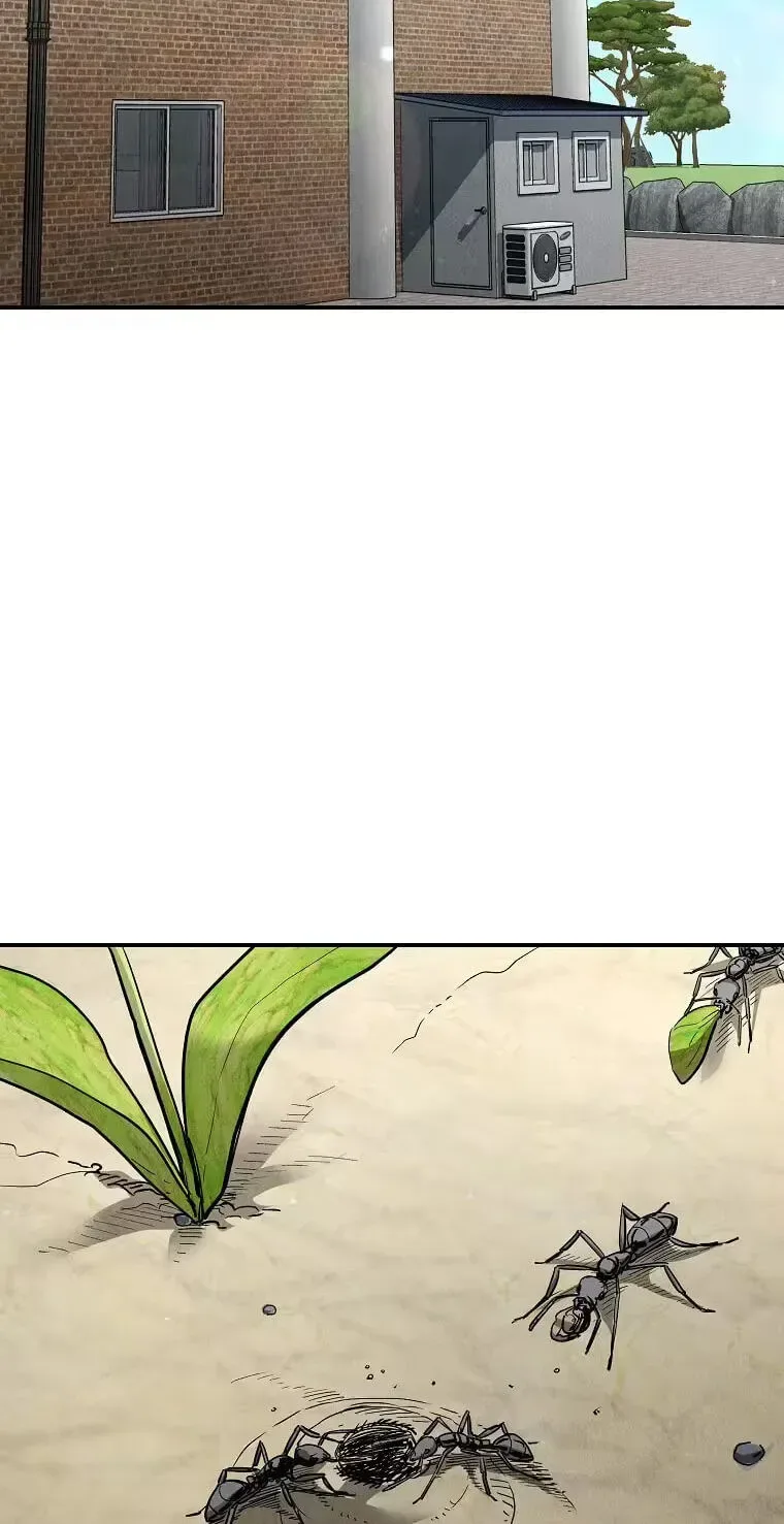 Empire of the Ants Chapter 35 page 18