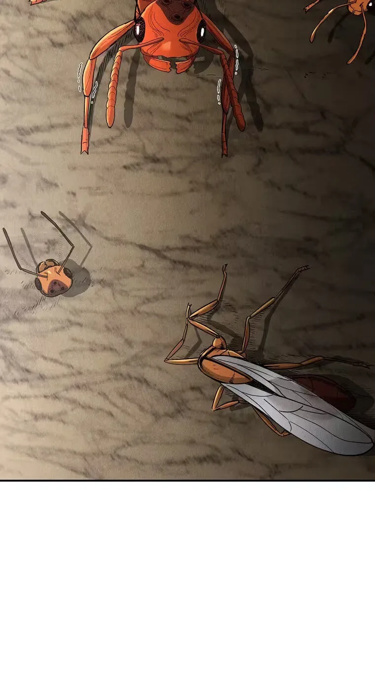 Empire of the Ants Chapter 36 page 47