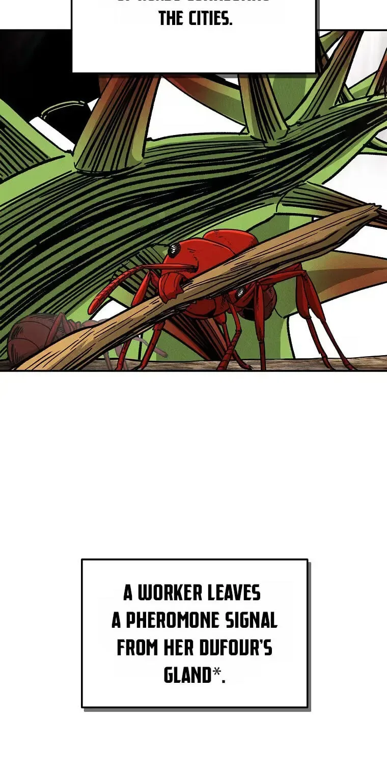 Empire of the Ants Chapter 40 page 55