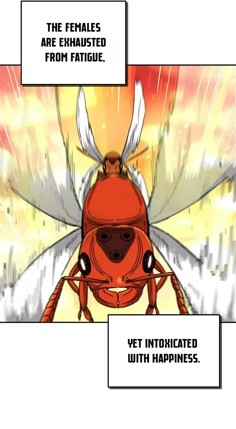 Empire of the Ants Chapter 39 page 67