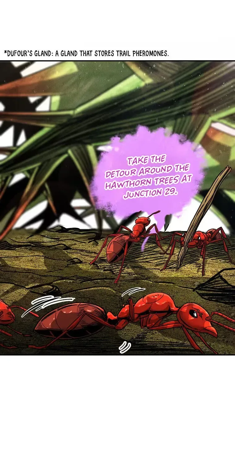 Empire of the Ants Chapter 40 page 56