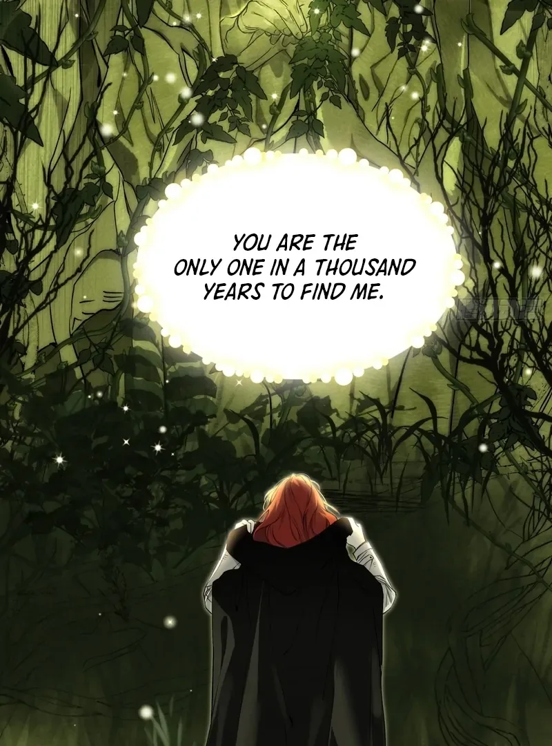 She Tames Heroes Chapter 1 page 70
