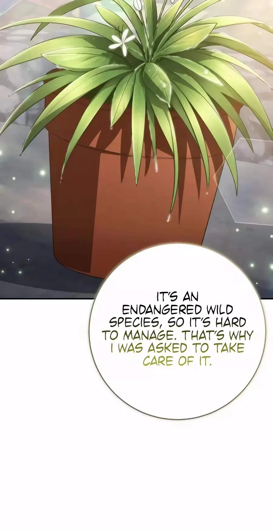 Devely’s Healing Time Chapter 31 page 142