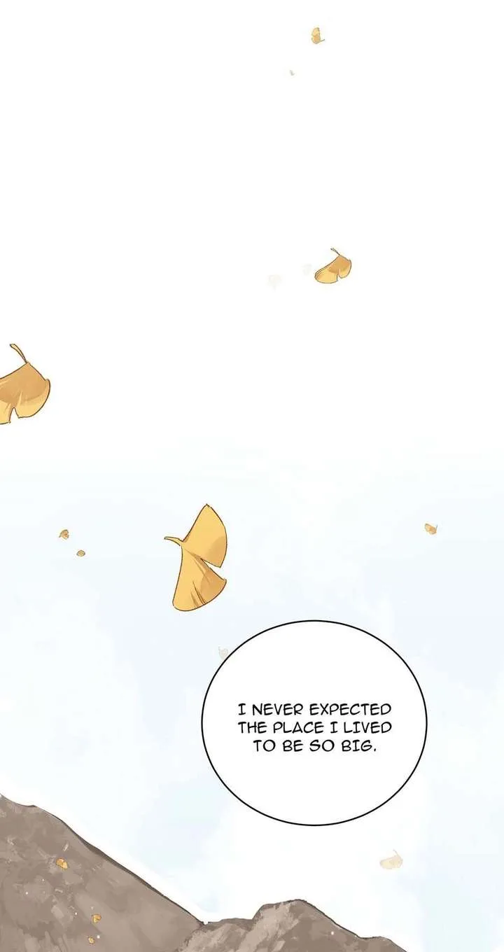 The poetry of love and war Chapter 13 page 27