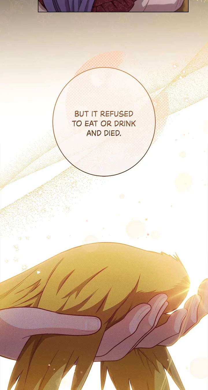 Exclusive maid of the evil empress Chapter 19 page 8