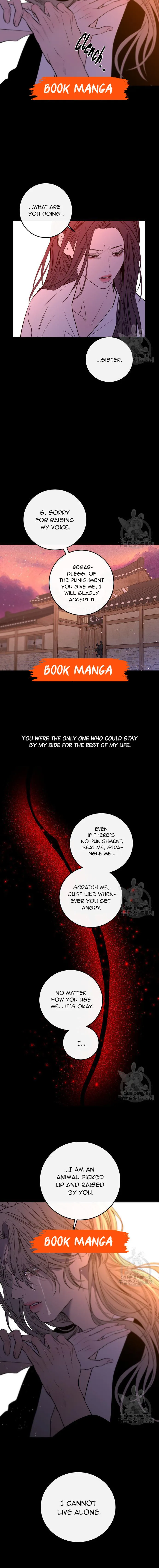 Extroversion of an Immortal Chapter 44 page 12