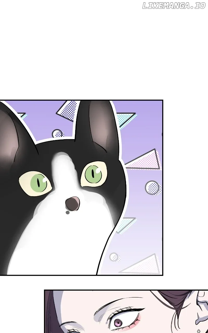 Extroversion of an Immortal Chapter 50 page 60