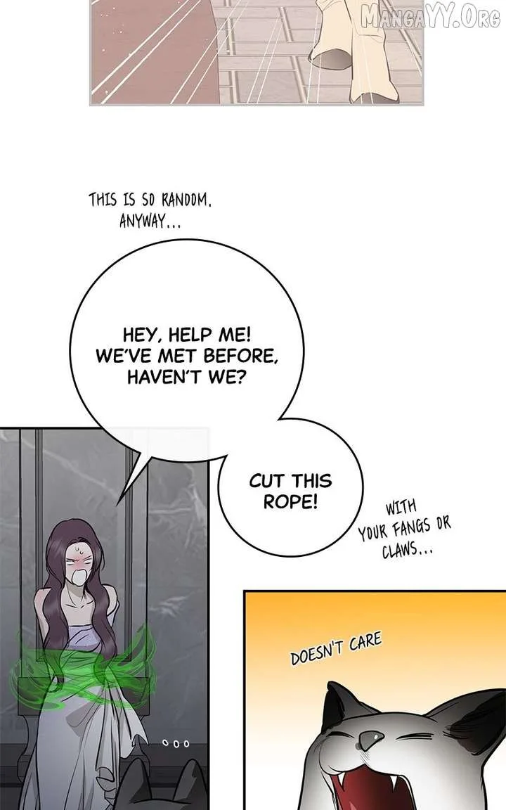 Extroversion of an Immortal Chapter 119 page 69