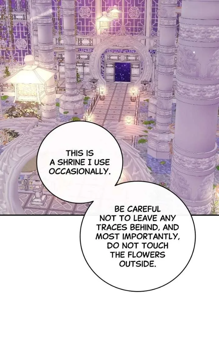 Extroversion of an Immortal Chapter 134 page 49