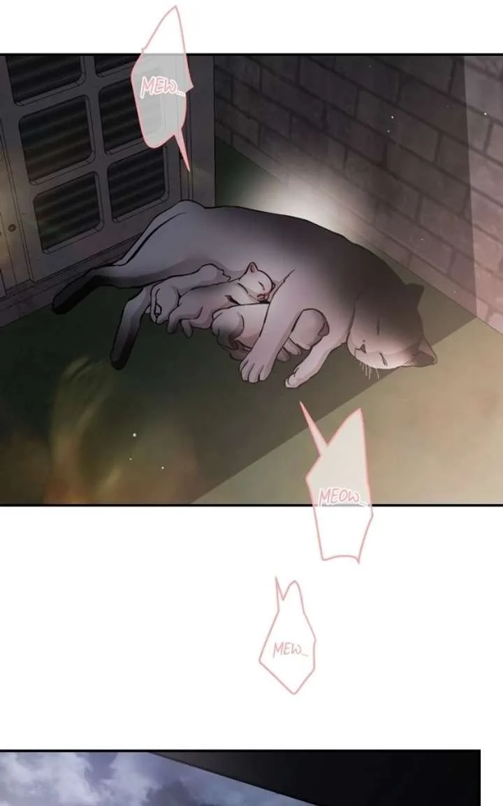 Extroversion of an Immortal Chapter 143 page 94