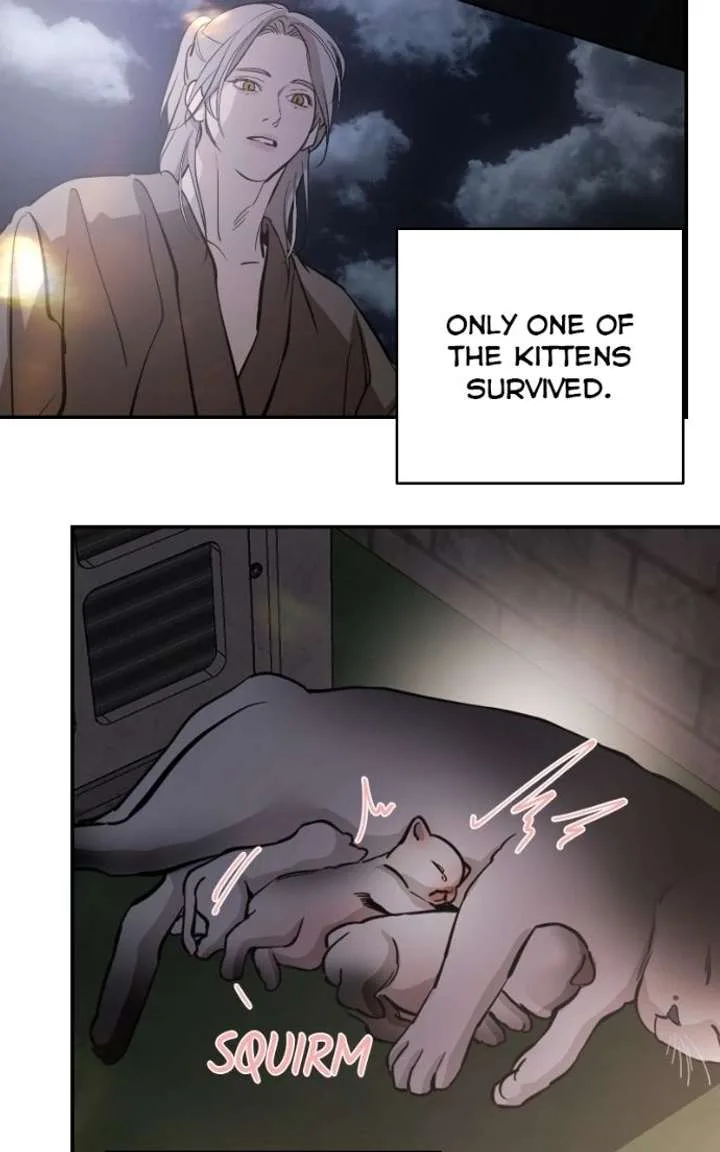 Extroversion of an Immortal Chapter 143 page 95