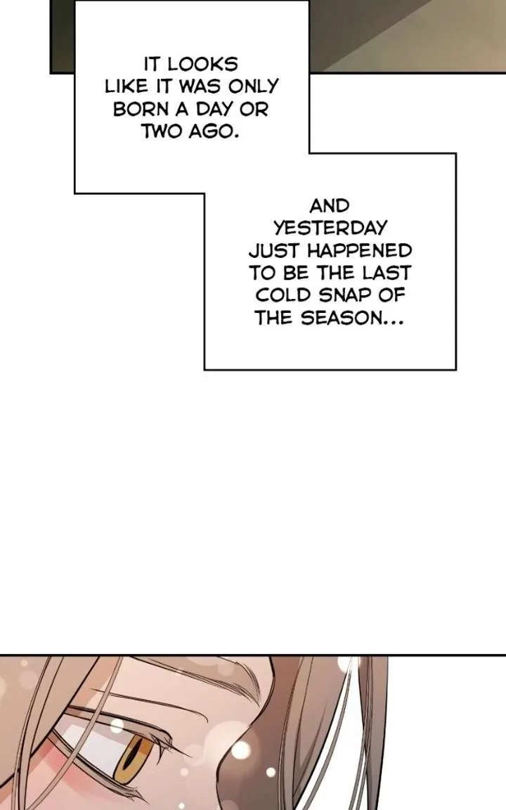 Extroversion of an Immortal Chapter 143 page 96