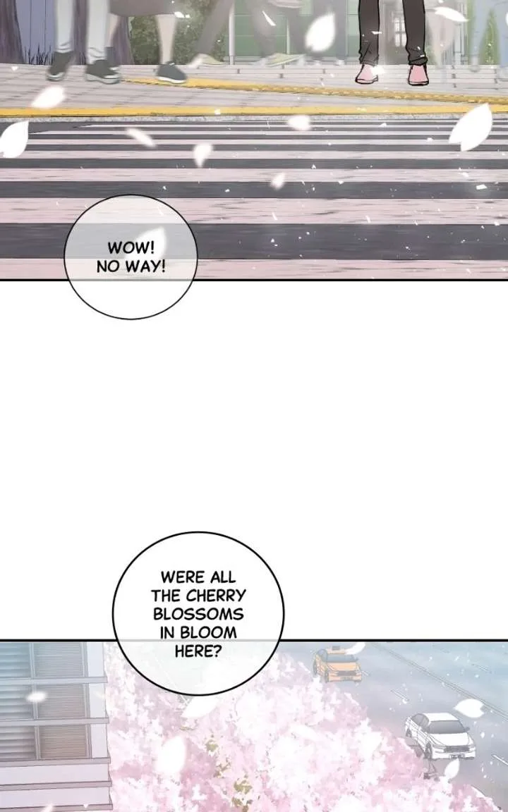 Extroversion of an Immortal Chapter 144 page 77