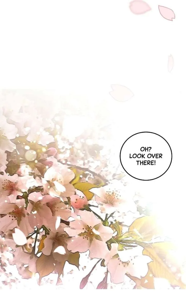 Extroversion of an Immortal Chapter 144 page 74