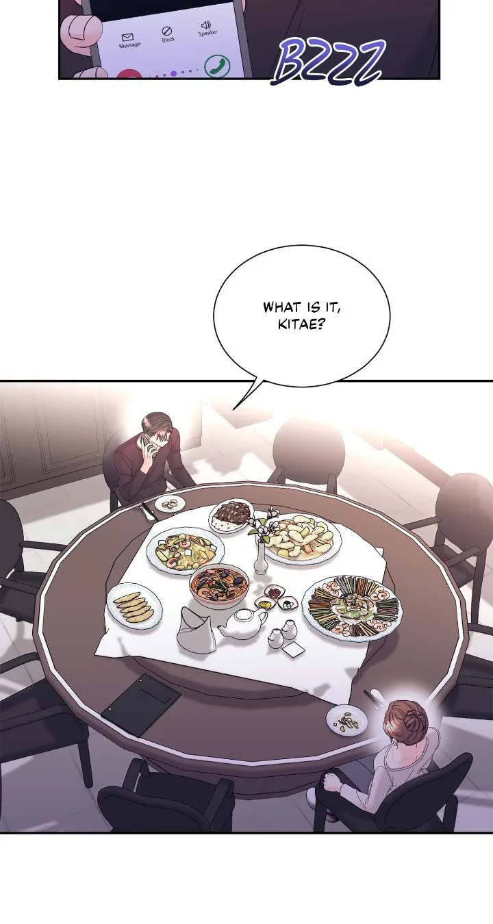 Fake Wife Chapter 39 page 48