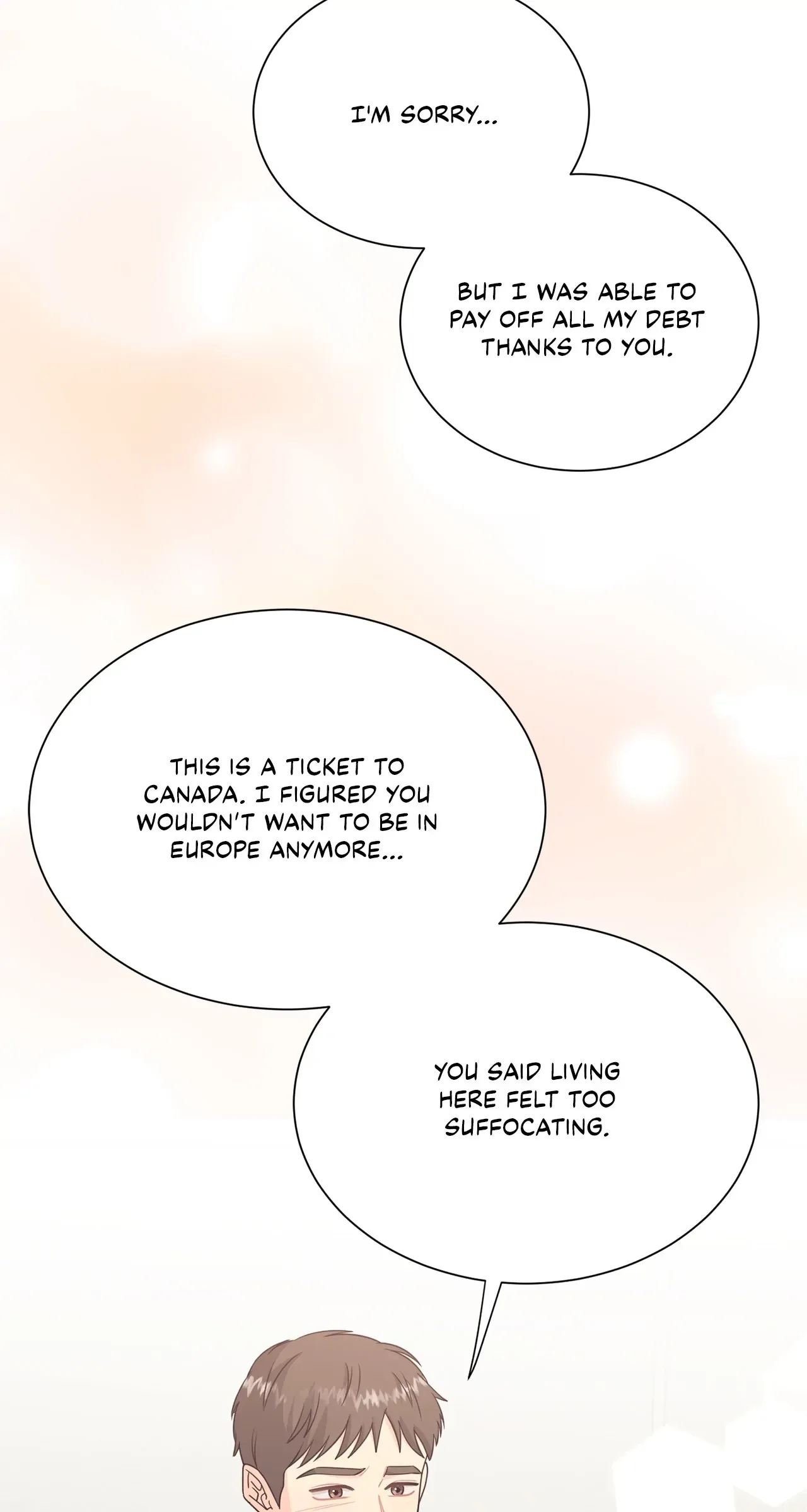 Fake Wife Chapter 67 page 17