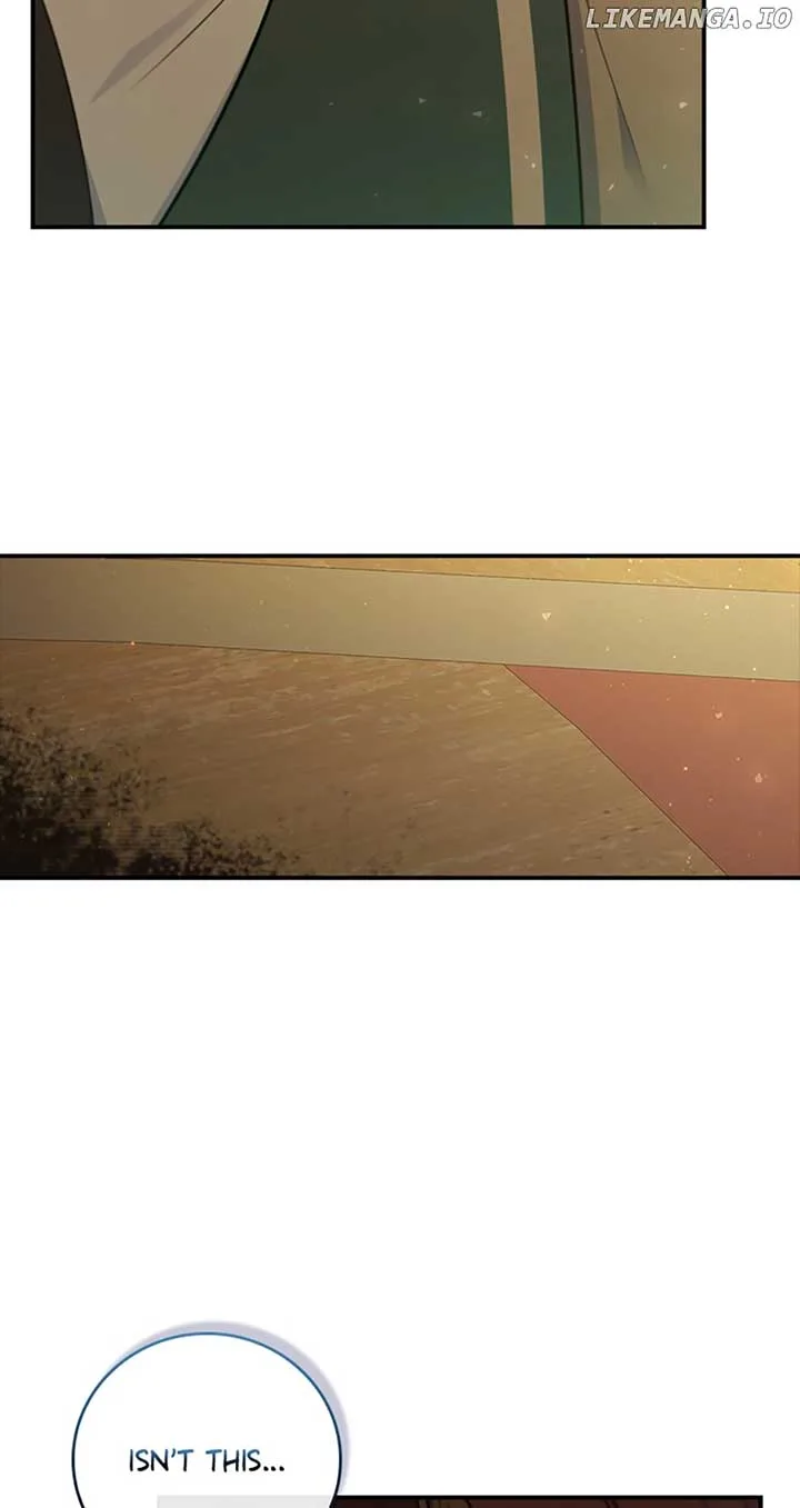 Fakes Don’t Want To Be Real Chapter 33 page 41