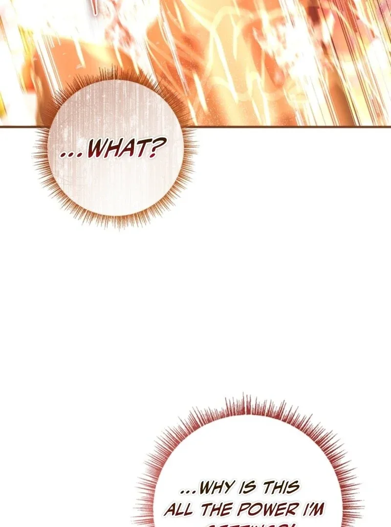 Fakes Don’t Want To Be Real Chapter 104 page 117