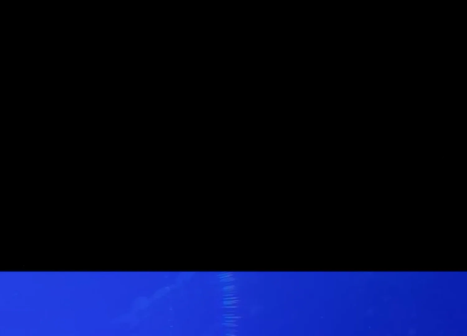 Fall in Love or Die Chapter 52 page 268
