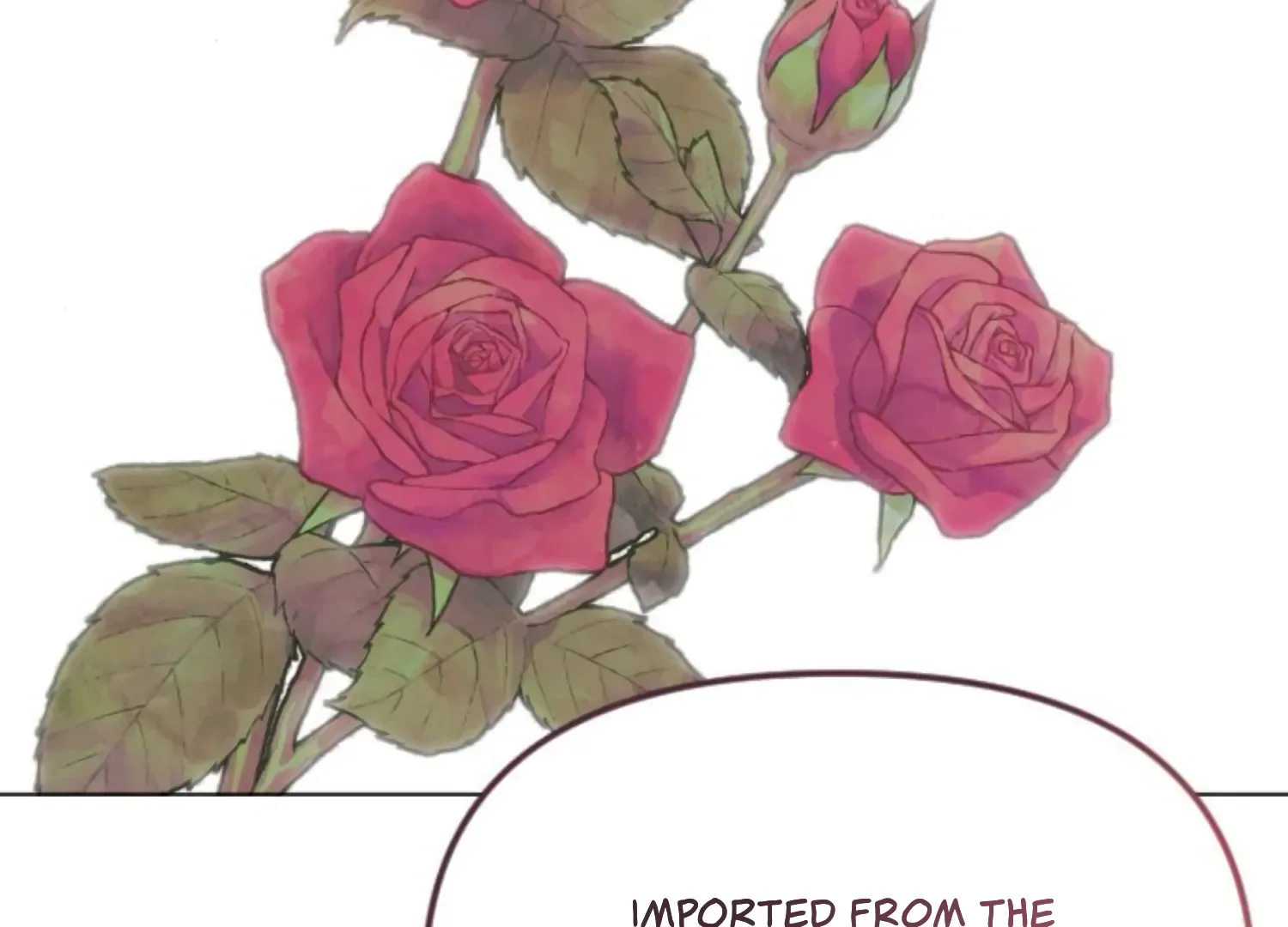 Fall in Love or Die Chapter 77 page 257