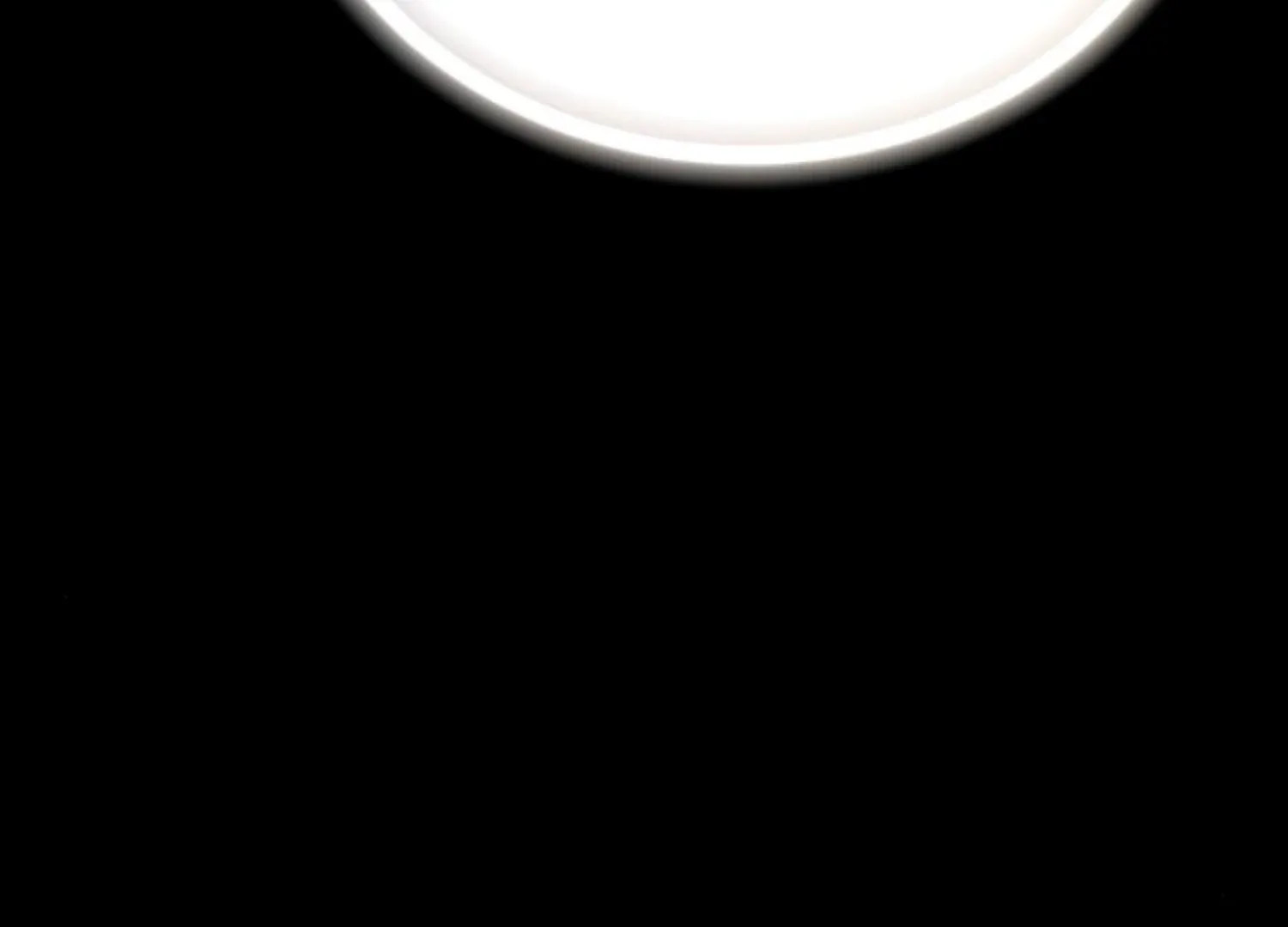 Fall in Love or Die Chapter 82 page 91