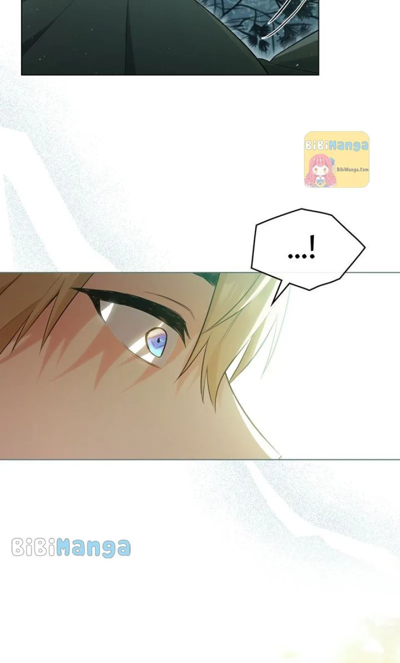 Falling for a Dying Princess Chapter 10 page 47