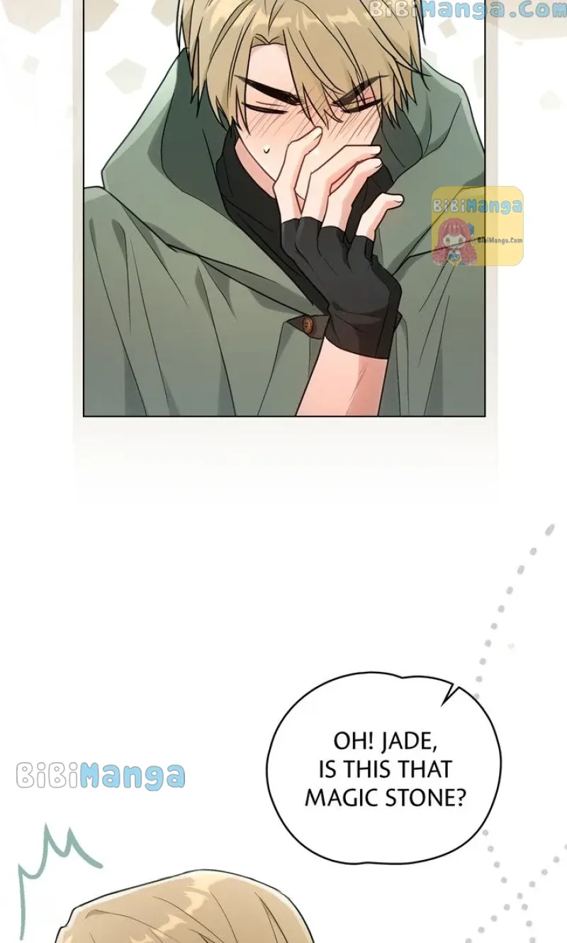 Falling for a Dying Princess Chapter 21 page 65