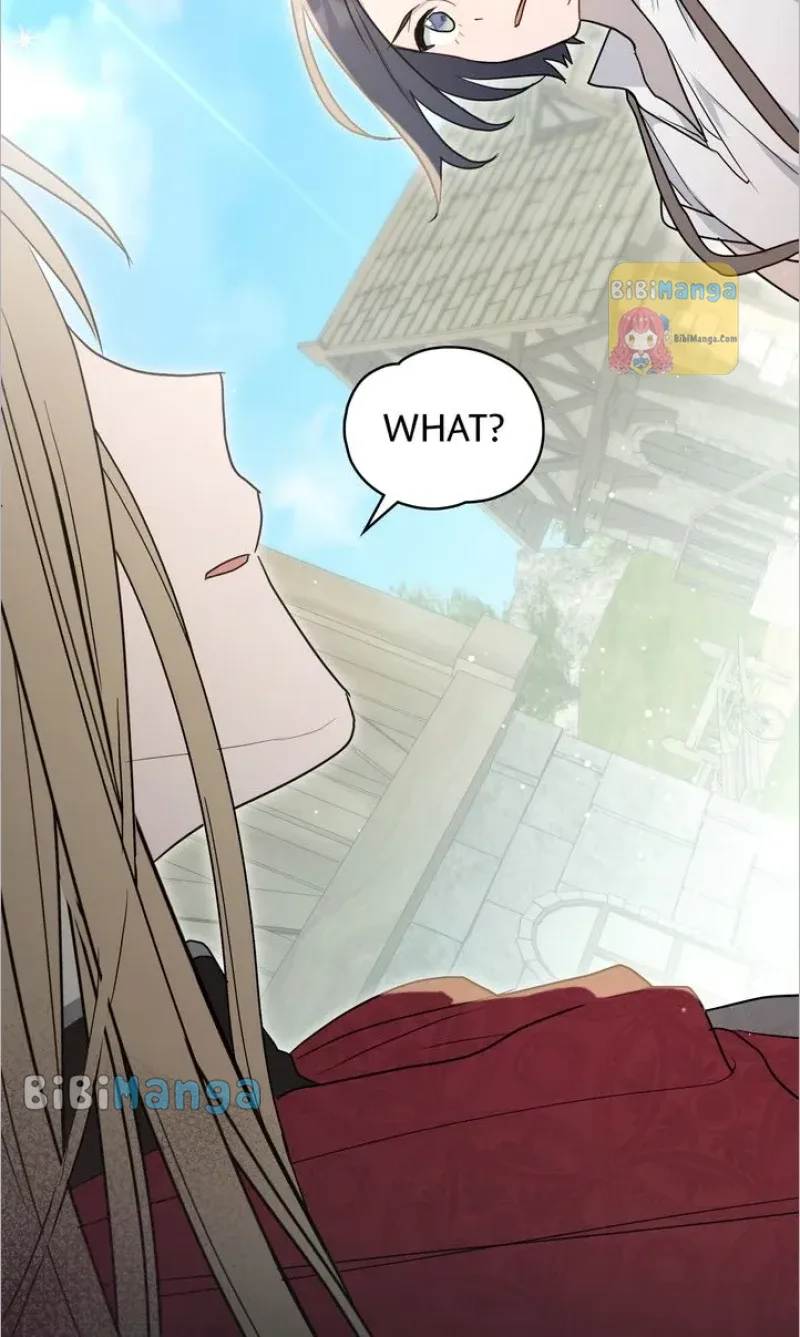 Falling for a Dying Princess Chapter 36 page 27