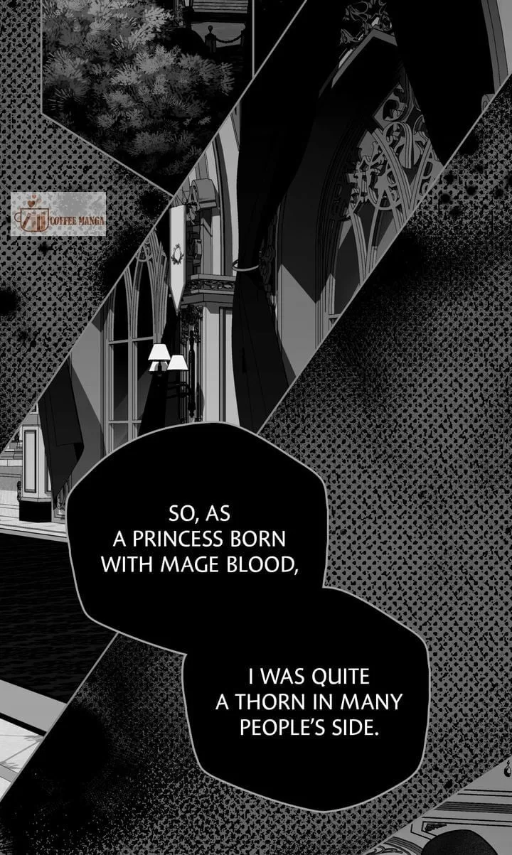Falling for a Dying Princess Chapter 42 page 24