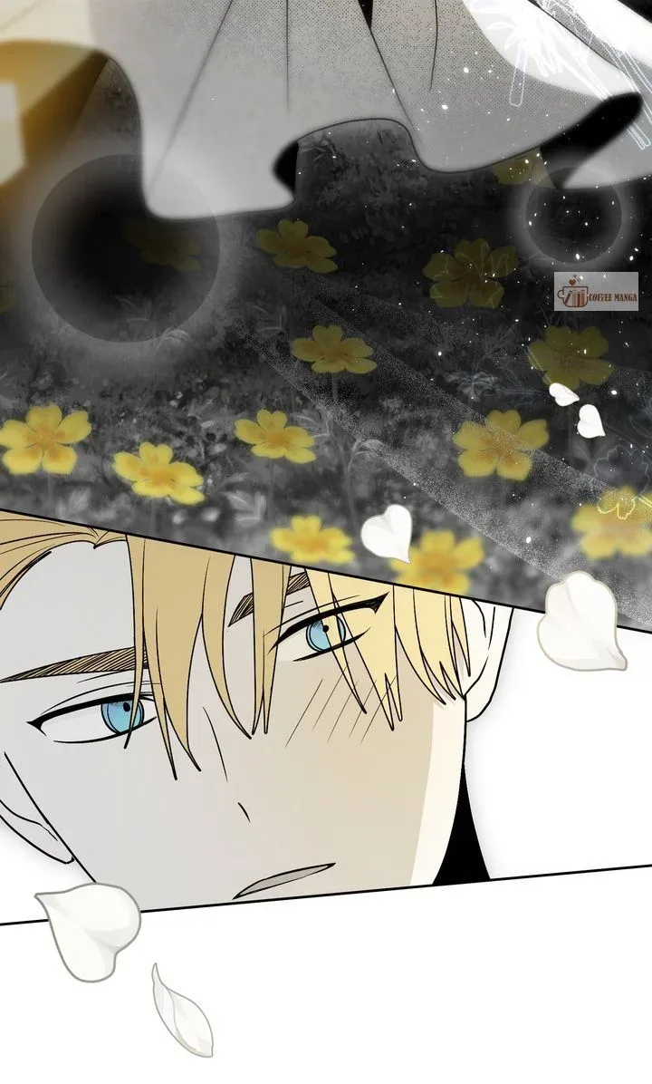 Falling for a Dying Princess Chapter 72 page 17