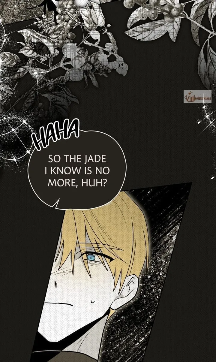 Falling for a Dying Princess Chapter 75 page 71