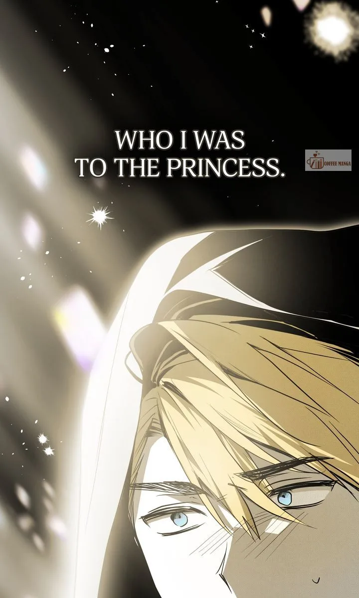 Falling for a Dying Princess Chapter 89 page 64