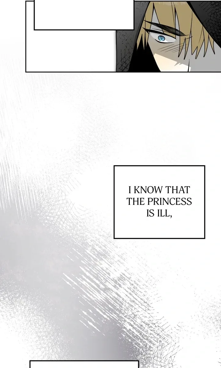 Falling for a Dying Princess Chapter 90 page 27
