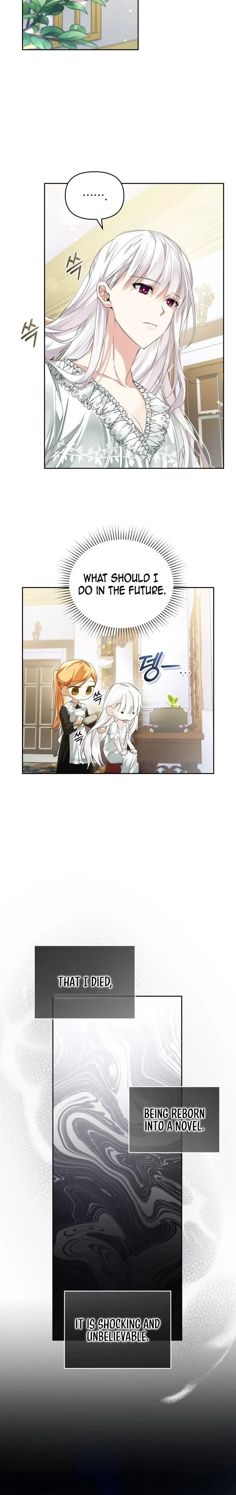 Fell Into the Arms of a Mad Villain Chapter 5 page 17