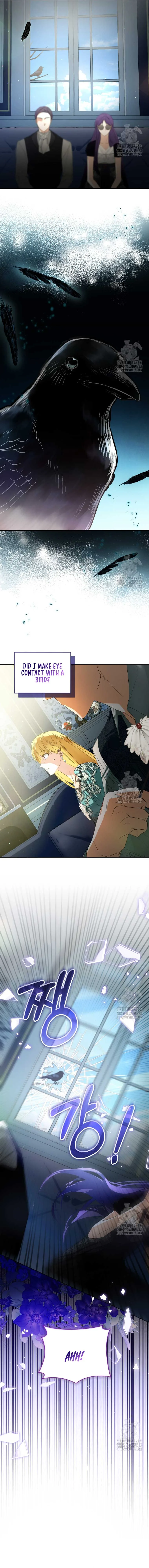 Fell Into the Arms of a Mad Villain Chapter 39 page 16