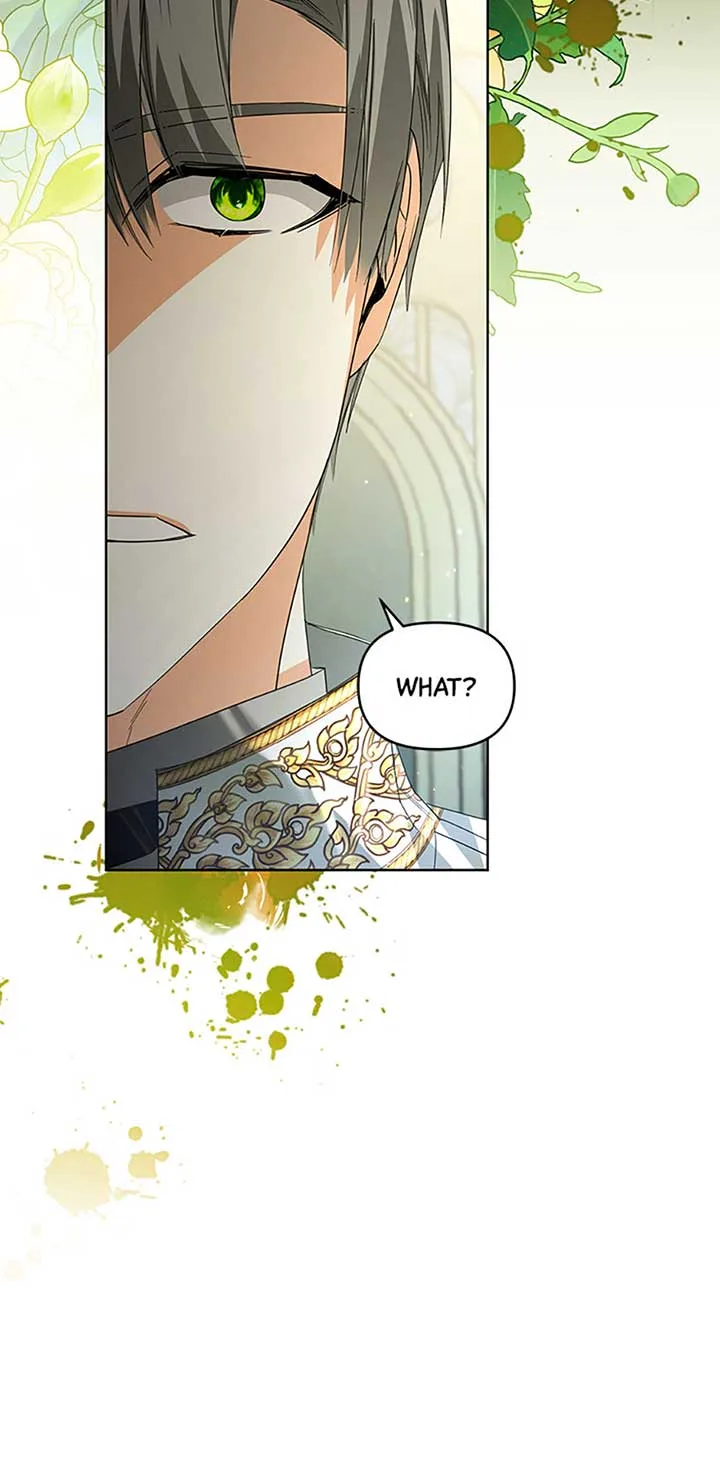 Fell Into the Arms of a Mad Villain Chapter 43 page 69