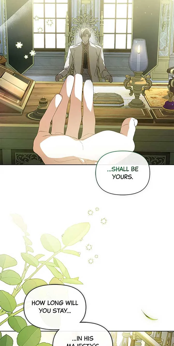 Fell Into the Arms of a Mad Villain Chapter 44 page 12