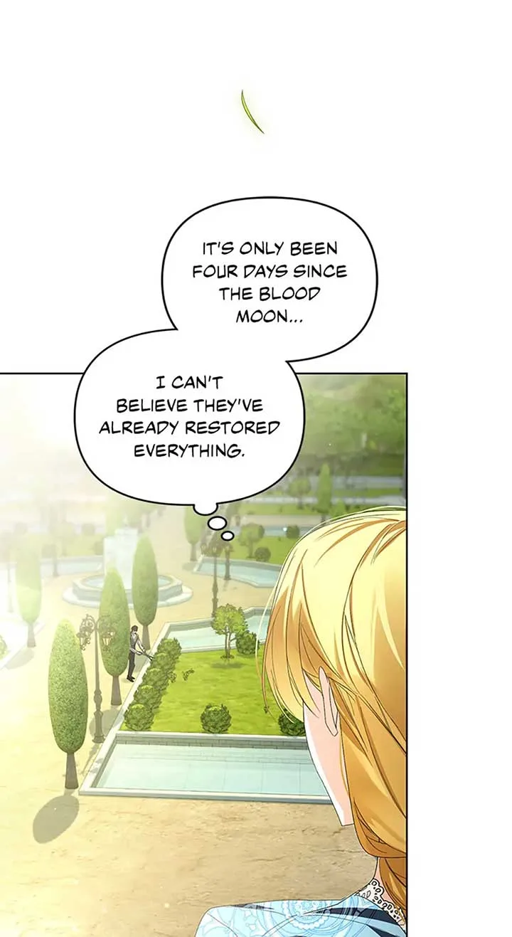Fell Into the Arms of a Mad Villain Chapter 44 page 48