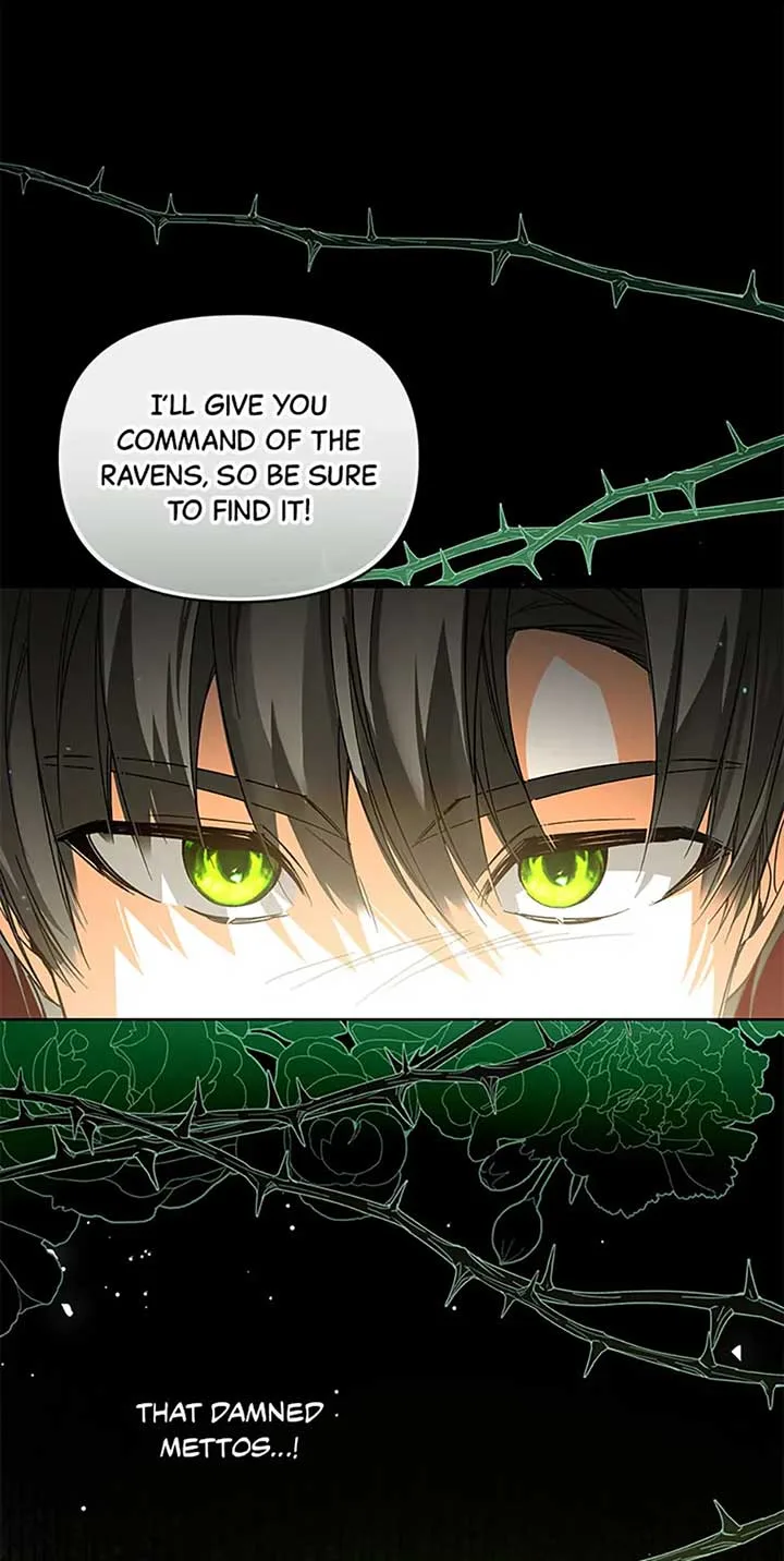 Fell Into the Arms of a Mad Villain Chapter 44 page 9