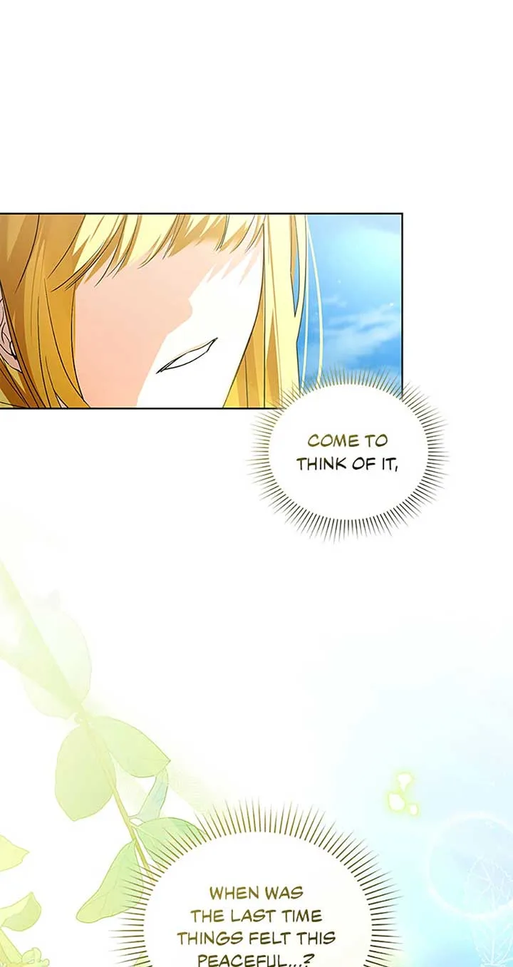 Fell Into the Arms of a Mad Villain Chapter 46 page 64