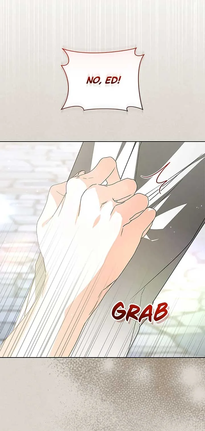 Fell Into the Arms of a Mad Villain Chapter 46 page 35