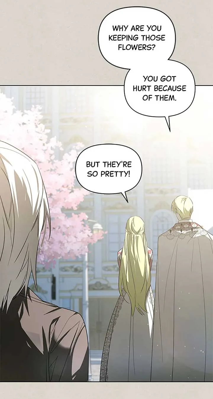 Fell Into the Arms of a Mad Villain Chapter 46 page 45